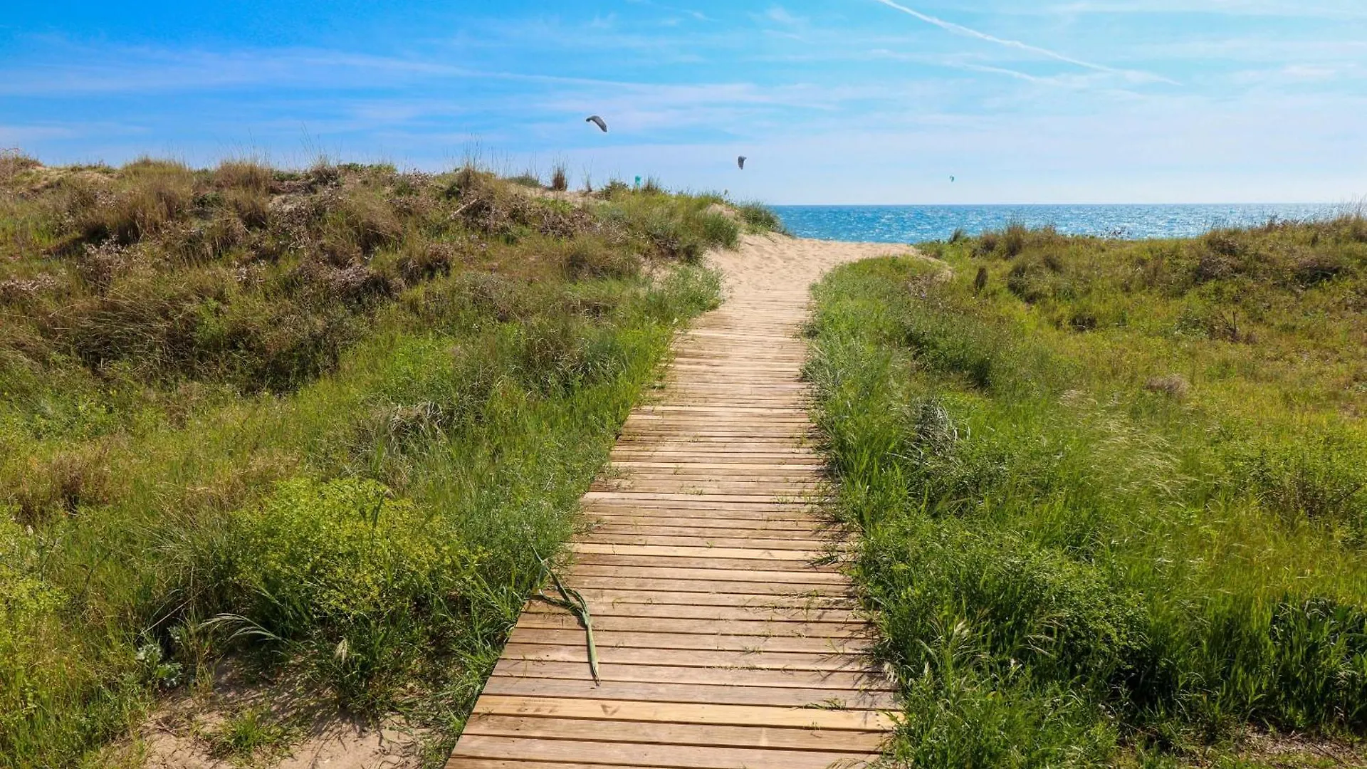 Frontline Beach Ground Floor Apartment - Los Monteros Palm Beach 마르베야 0*,  스페인